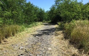 606b164de20a1_IMG0751.jpeg